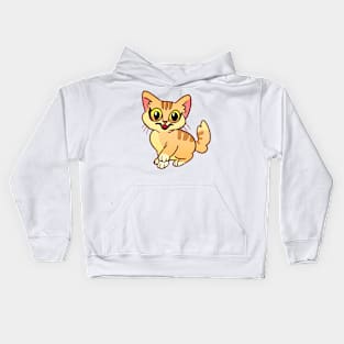 Tabby cat Kids Hoodie